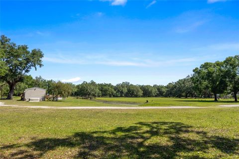 Tiny photo for 11902 Cr 727, Webster, FL 33597 (MLS # O6394956)