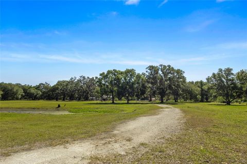 Tiny photo for 11902 Cr 727, Webster, FL 33597 (MLS # O6394956)