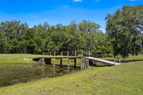 Tiny photo for 11902 Cr 727, Webster, FL 33597 (MLS # O6394956)