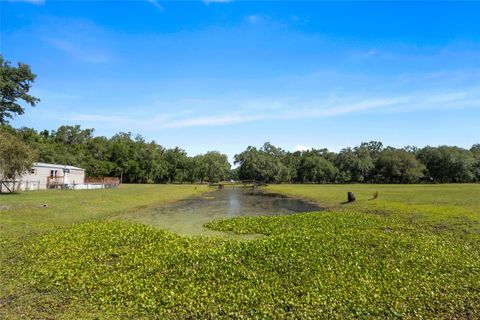 Tiny photo for 11902 Cr 727, Webster, FL 33597 (MLS # O6394956)