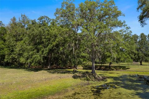 Tiny photo for 11902 Cr 727, Webster, FL 33597 (MLS # O6394956)