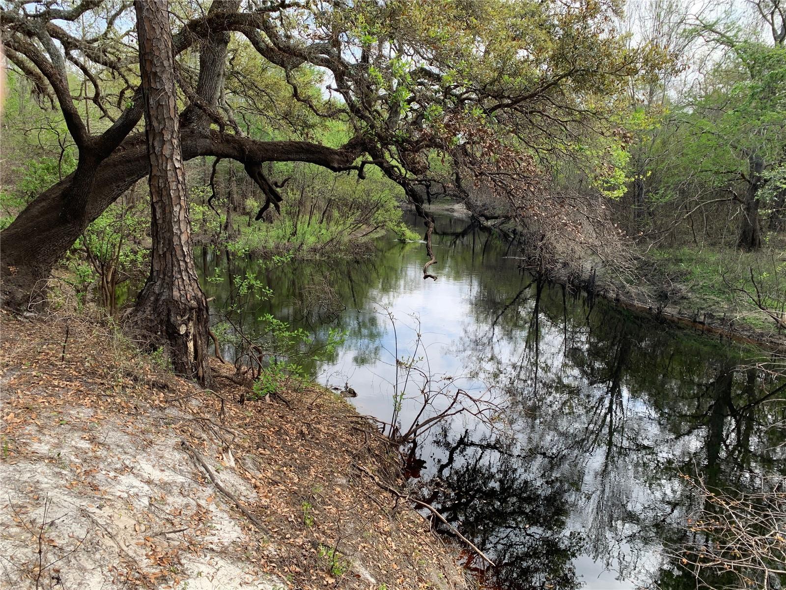 TRAIL R RANCH - Land