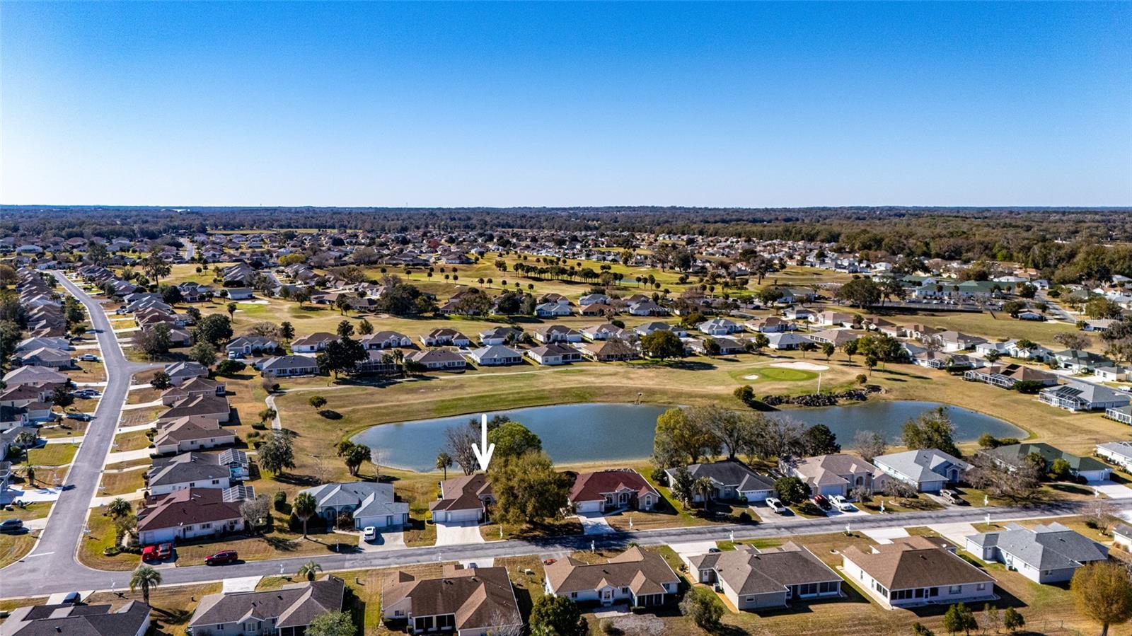 OCALA PALMS - Residential
