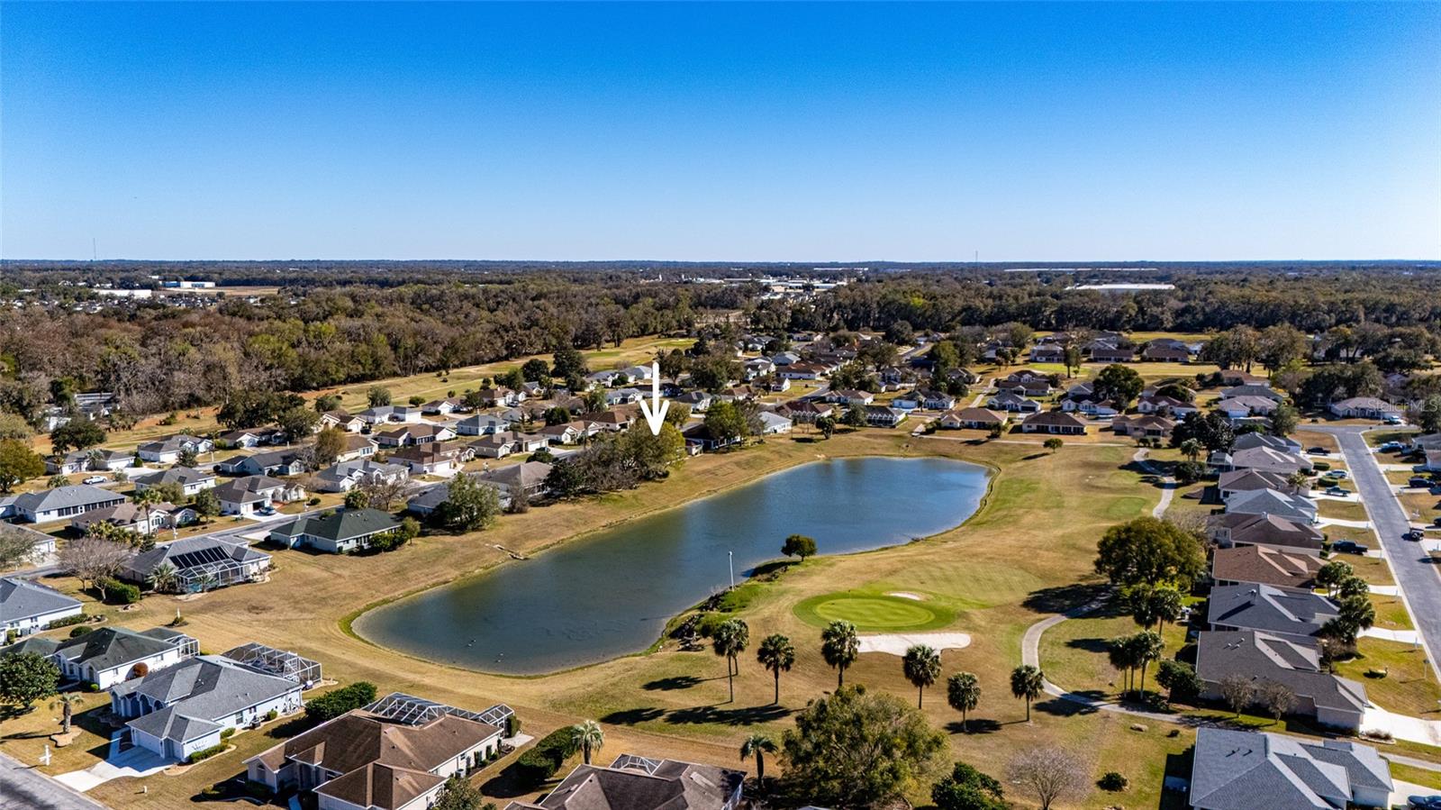 OCALA PALMS - Residential