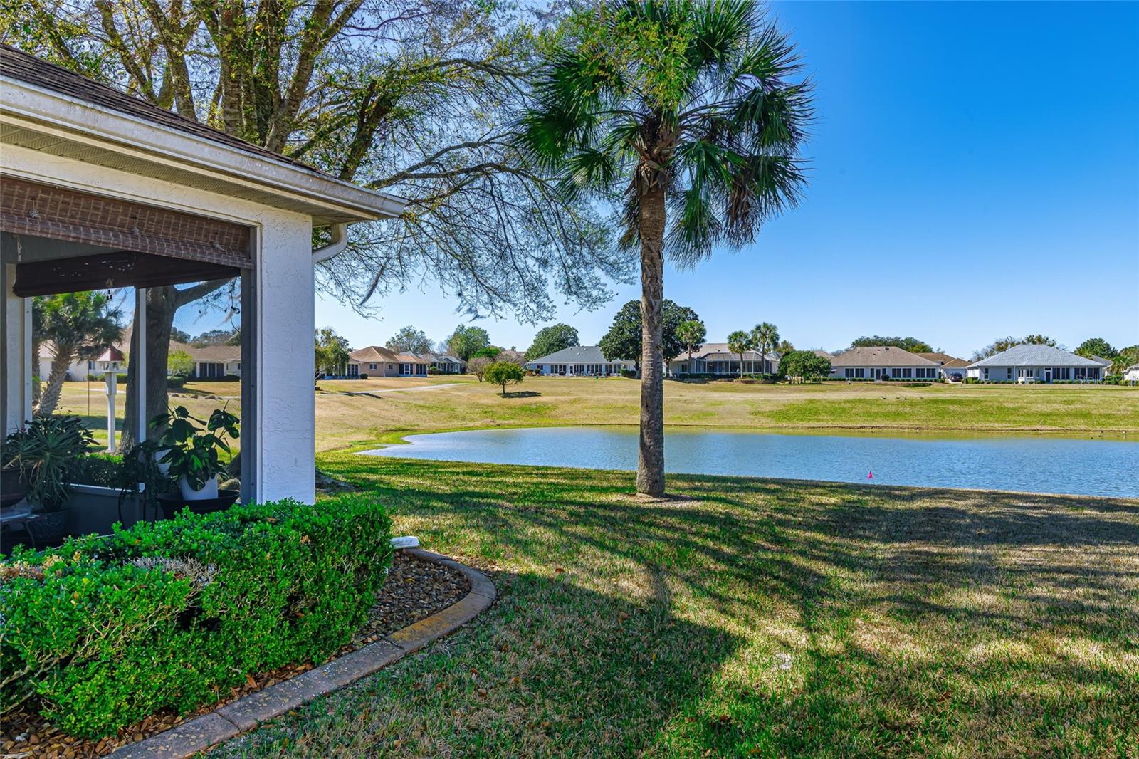 OCALA PALMS - Residential