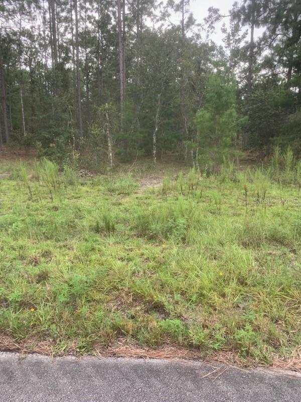 Residential Lot in a Growing Area. This 1-acre lot offers an excellent opportunity for builders, investors, or future homeowners looking to invest or build a residential home.