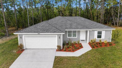 Photo of 3101 NW Buena Vista Road, Dunnellon, FL 34431 (MLS # OM722509)