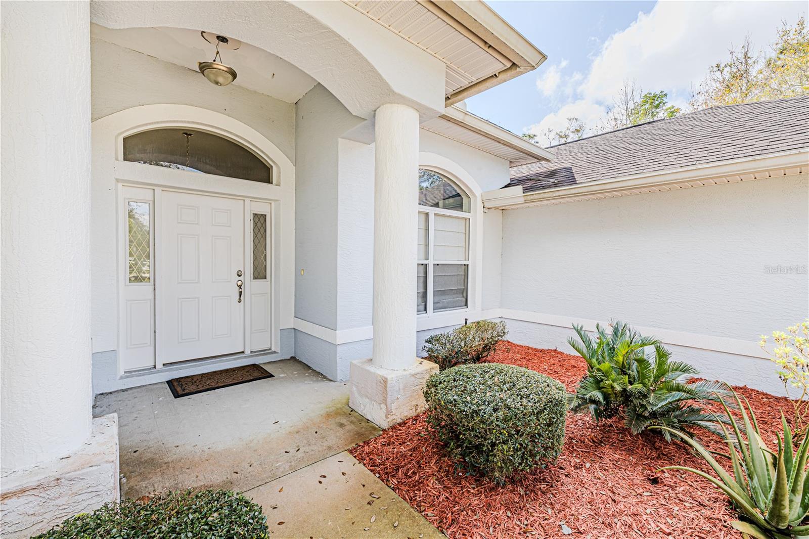 163 CHRYSANTHEMUM DRIVE
