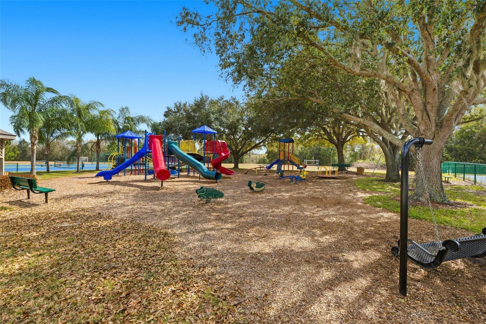 THE PADDOCKS AT VAN DYKE FARM - Residential