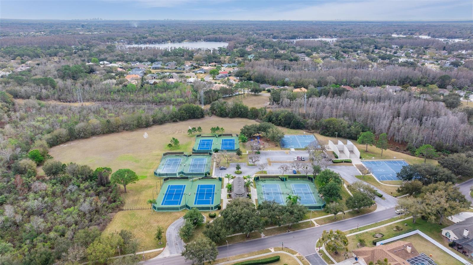 THE PADDOCKS AT VAN DYKE FARM - Residential