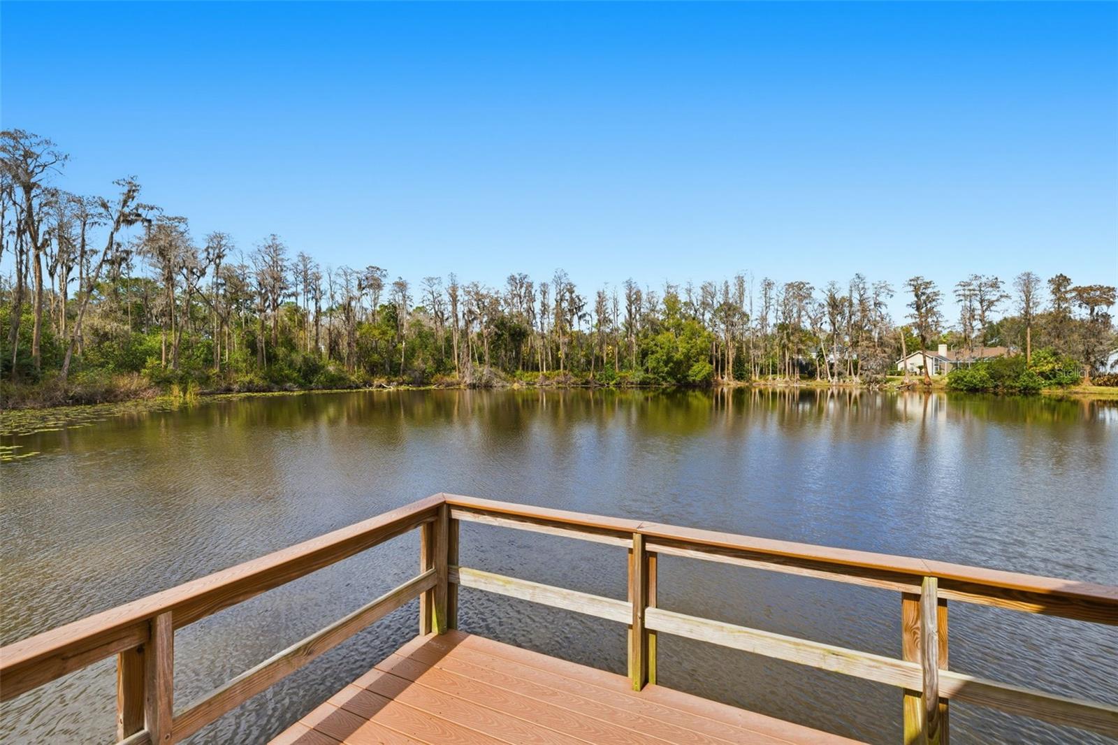THE PADDOCKS AT VAN DYKE FARM - Residential