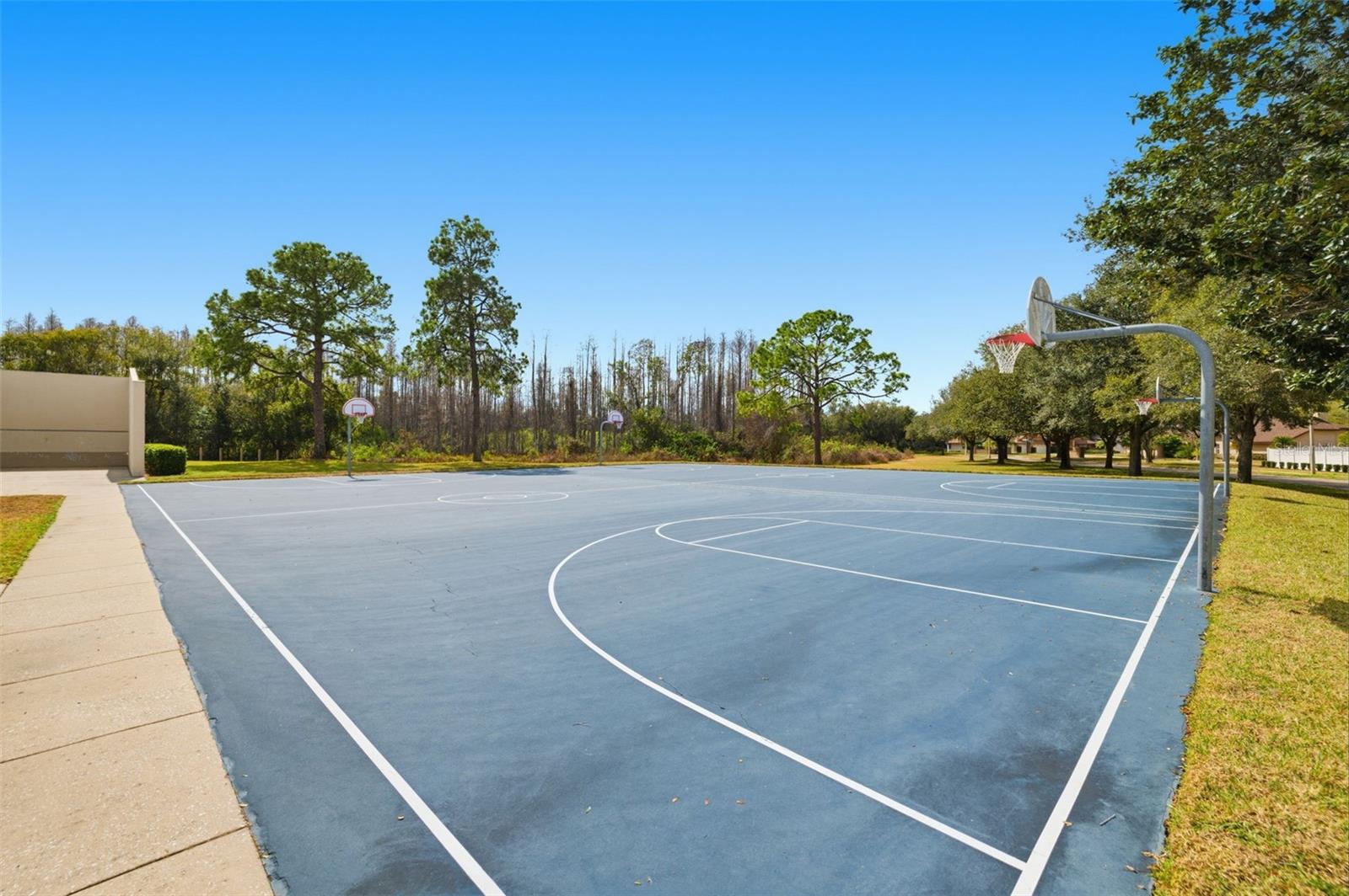 THE PADDOCKS AT VAN DYKE FARM - Residential