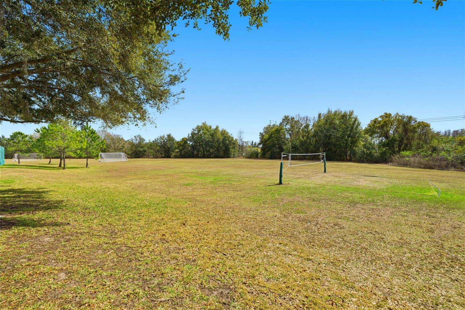THE PADDOCKS AT VAN DYKE FARM - Residential