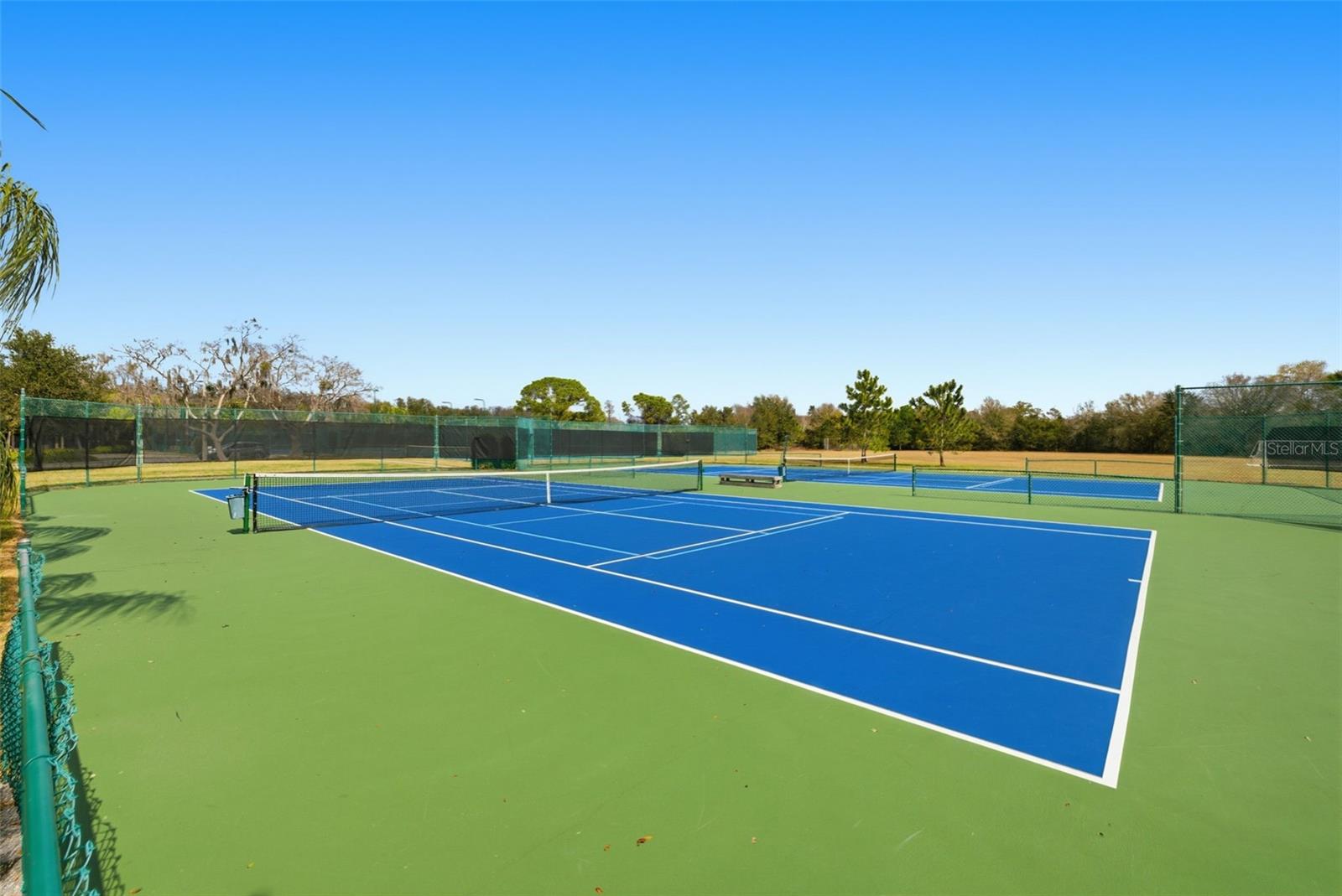 THE PADDOCKS AT VAN DYKE FARM - Residential