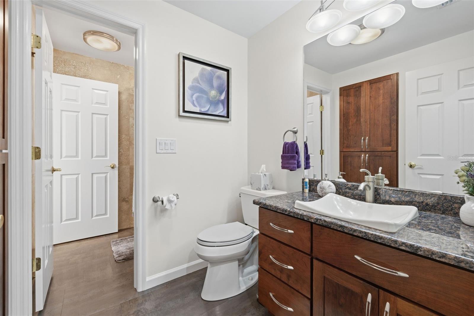 THE PADDOCKS AT VAN DYKE FARM - Residential