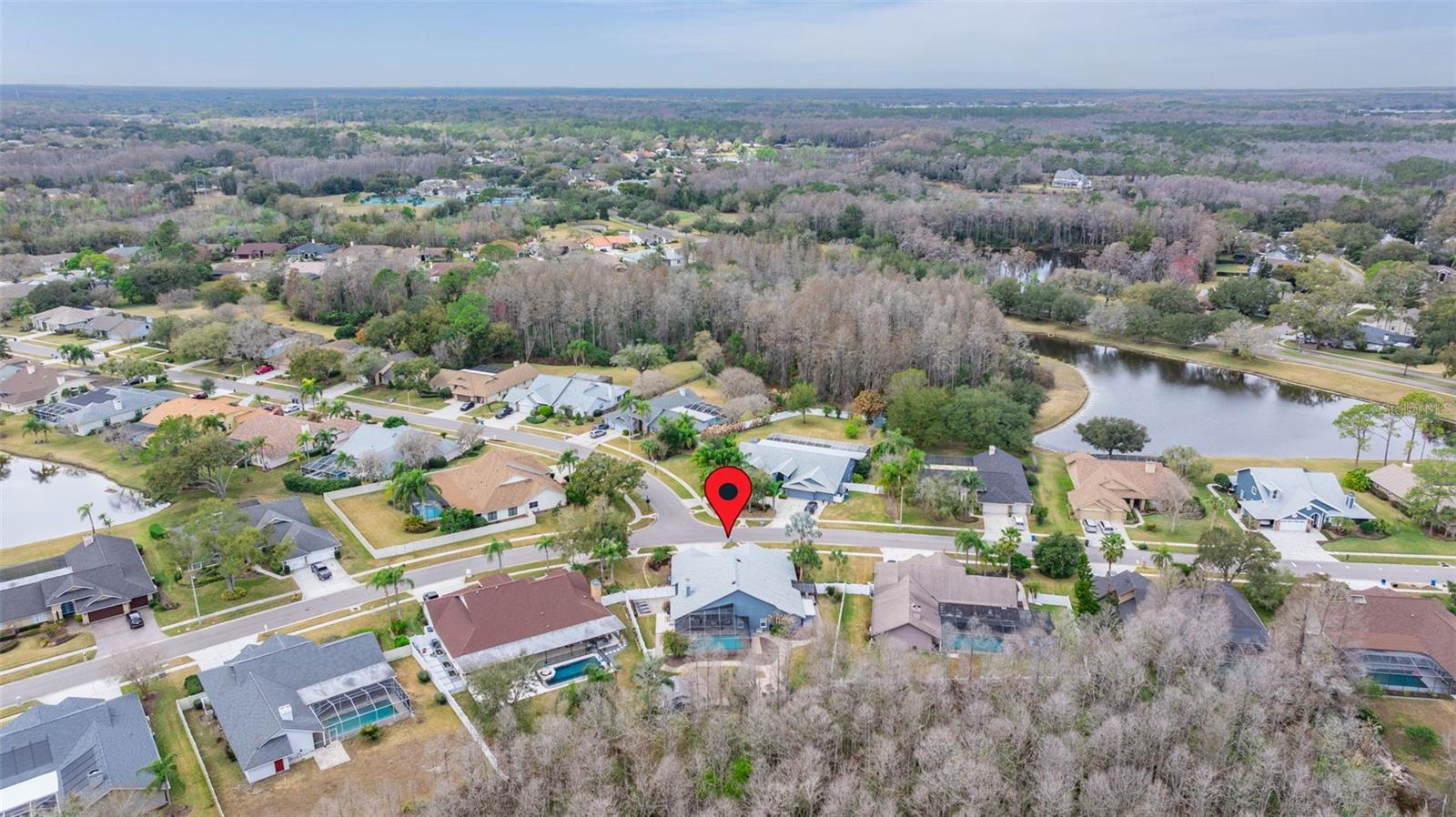 THE PADDOCKS AT VAN DYKE FARM - Residential
