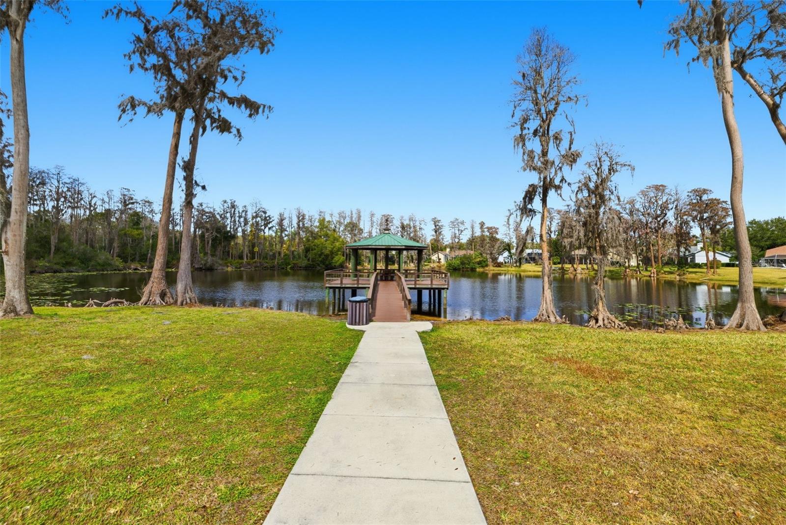 THE PADDOCKS AT VAN DYKE FARM - Residential