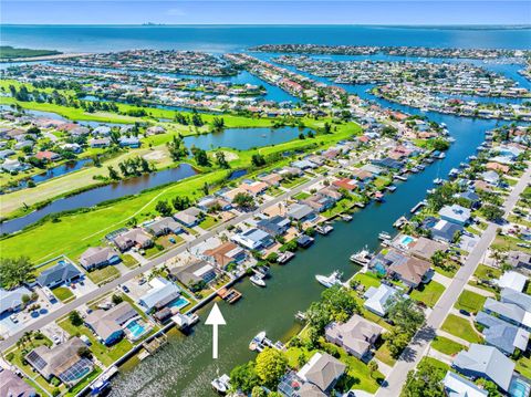 Photo of 727 Flamingo Drive, Apollo Beach, FL 33572 (MLS # TB8428469)