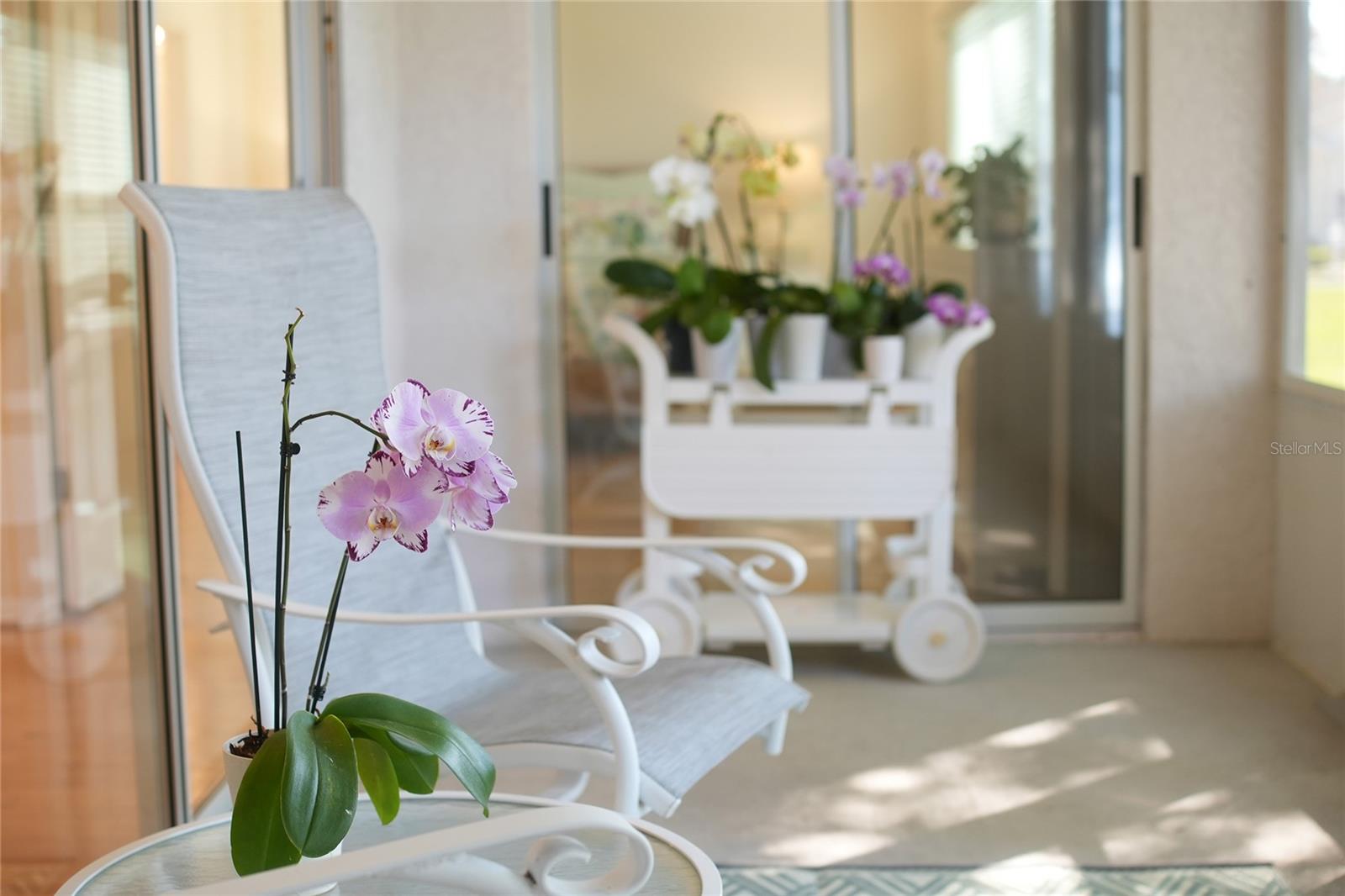 TEALWOOD VILLAS - Residential