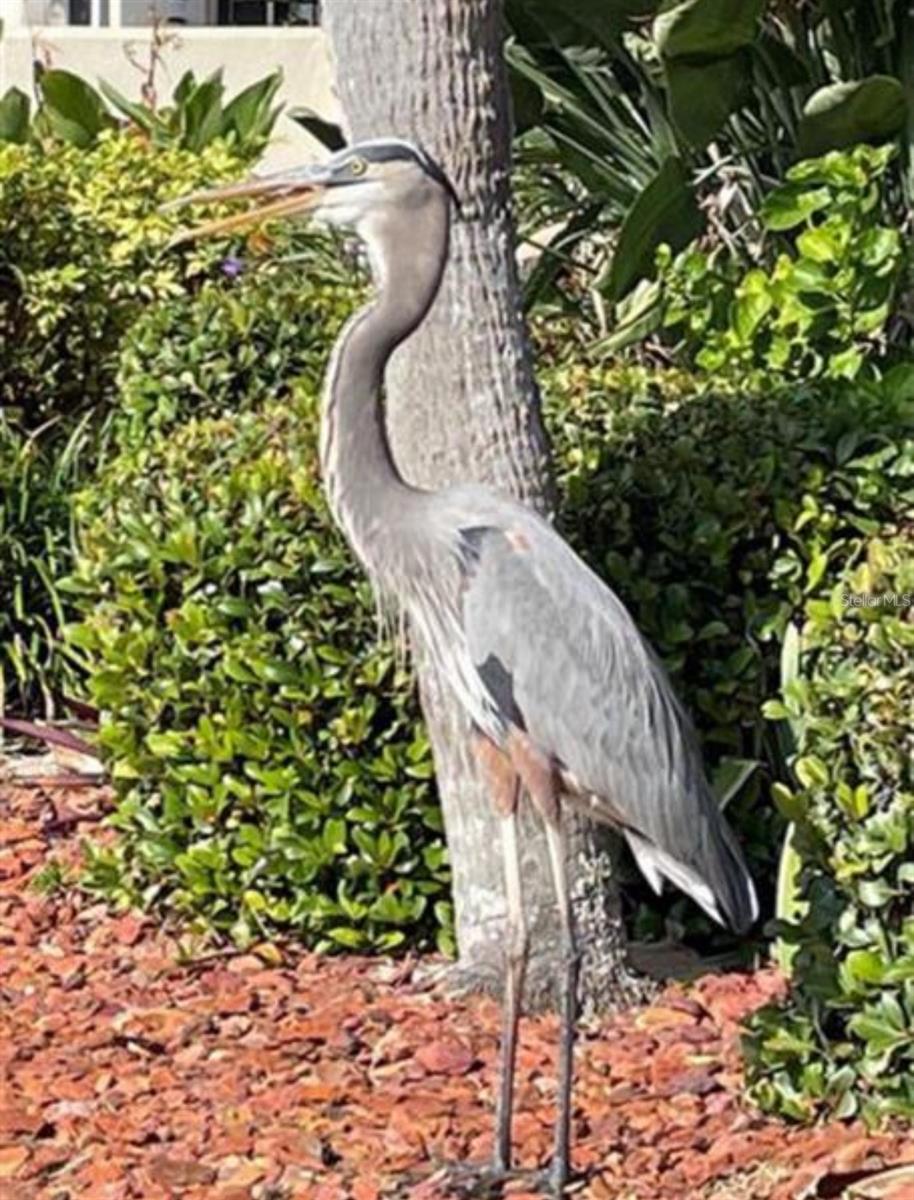 RIVERSIDE CONDO - Residential Lease