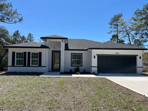 Photo of 920 W Ludlum Street, Dunnellon, FL 34434 (MLS # O6296198)