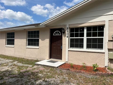 8804 BRIAR HOLLOW COURT TAMPA FL 33634