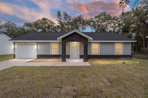 A home in BELLEVIEW