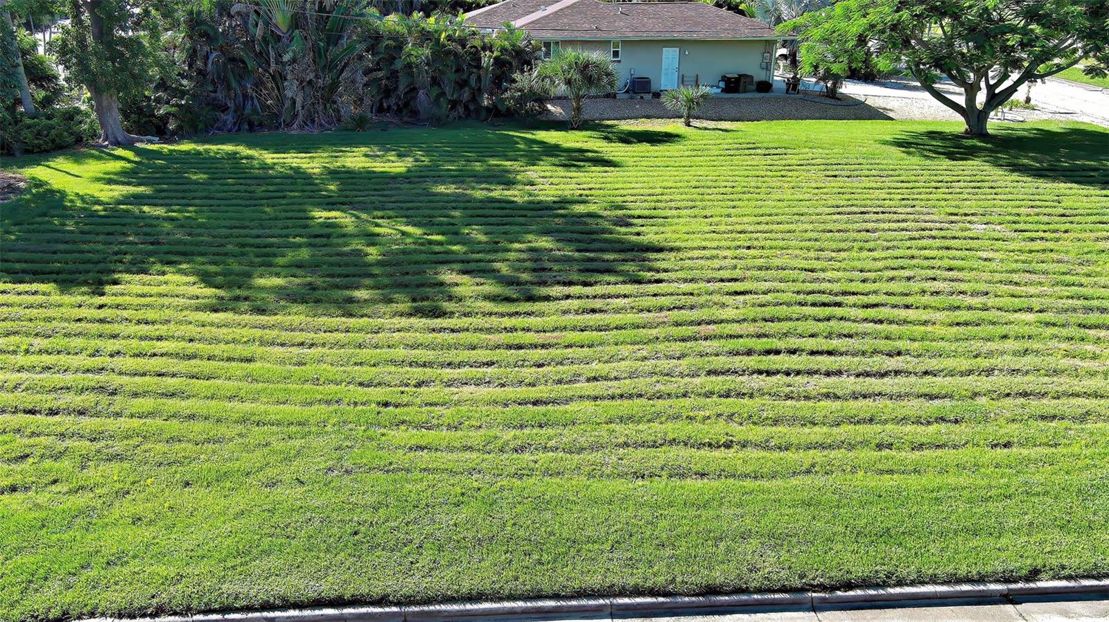 THREE CONGRUENT LOTS located in the desirable downtown Punta Gorda area. No need for renovations or fixer-uppers, these lots are a blank slate! Water meter on location and sewer ready to be connected. Build on all three lots or separate each parcel. INVESTMENT POSSIBILITIES ARE ENDLESS! Walking distance to Gilchrist Park and the harbor. Walking distance to downtown Punta Gorda’s fabulous food and entertainment scene, Fisherman’s Village, and Lashley’s Park. Just a 10 minute drive to Punta Gorda Airport and access to US-41 and HWY 75. Do not let this opportunity pass you by!