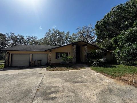 18130 KEENE ROAD ALTOONA FL 32702