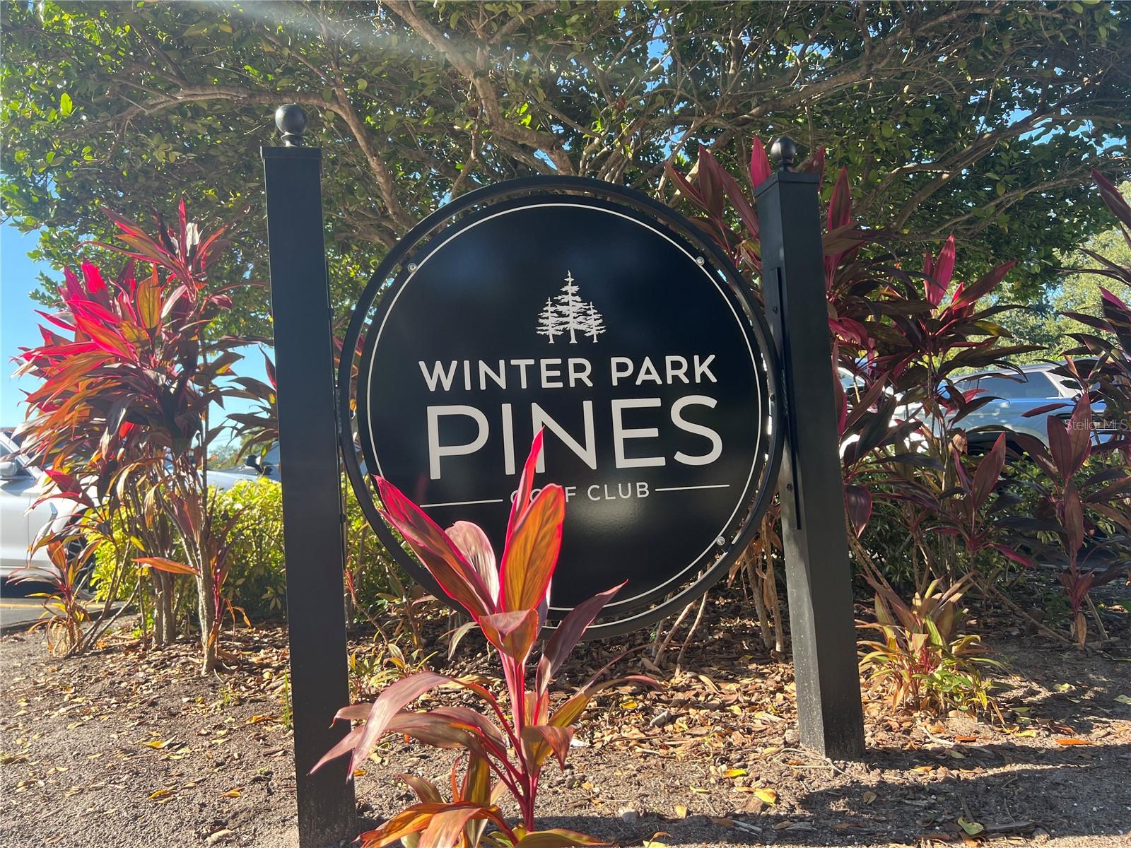 GREENVIEW AT WINTER PINES - Residential