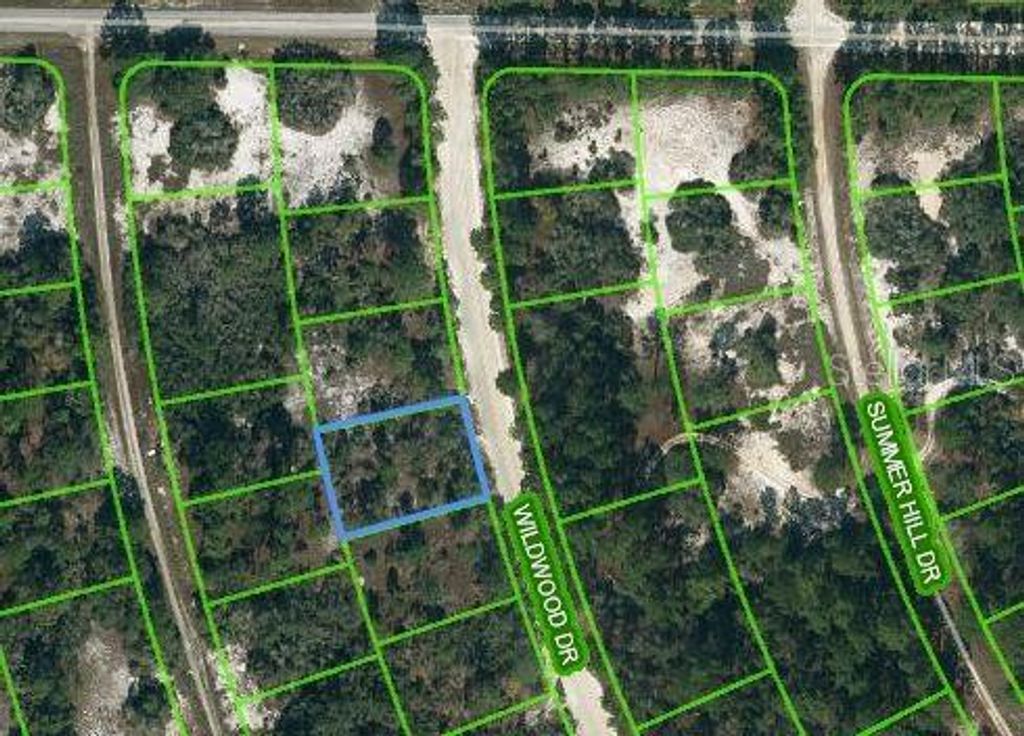 Photo of 366 Wildwood Drive, Lake Placid, FL 33852 (MLS # OM621643)