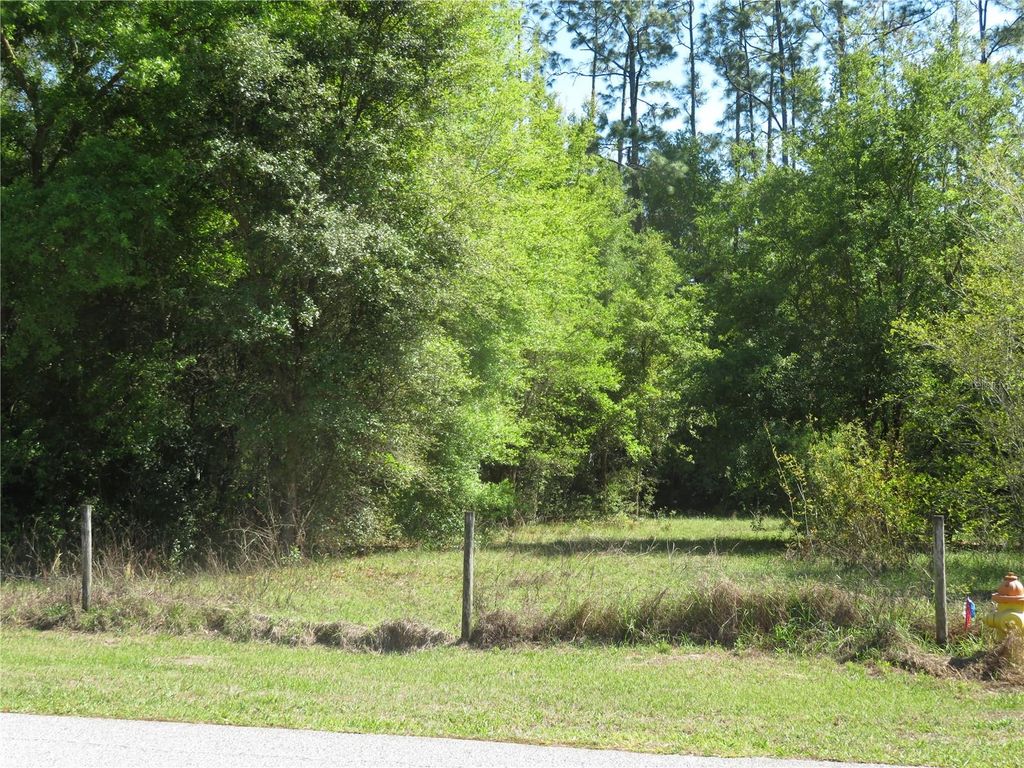 Photo of San Antonio, FL 33576 (MLS # TB8489498)