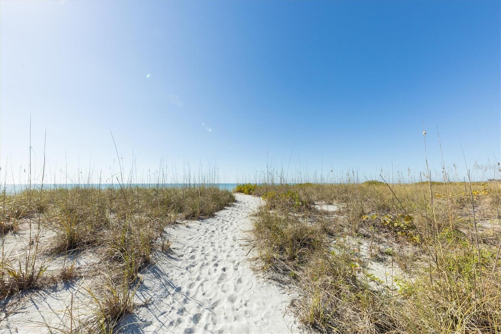 THE SHORE - Residential Lease