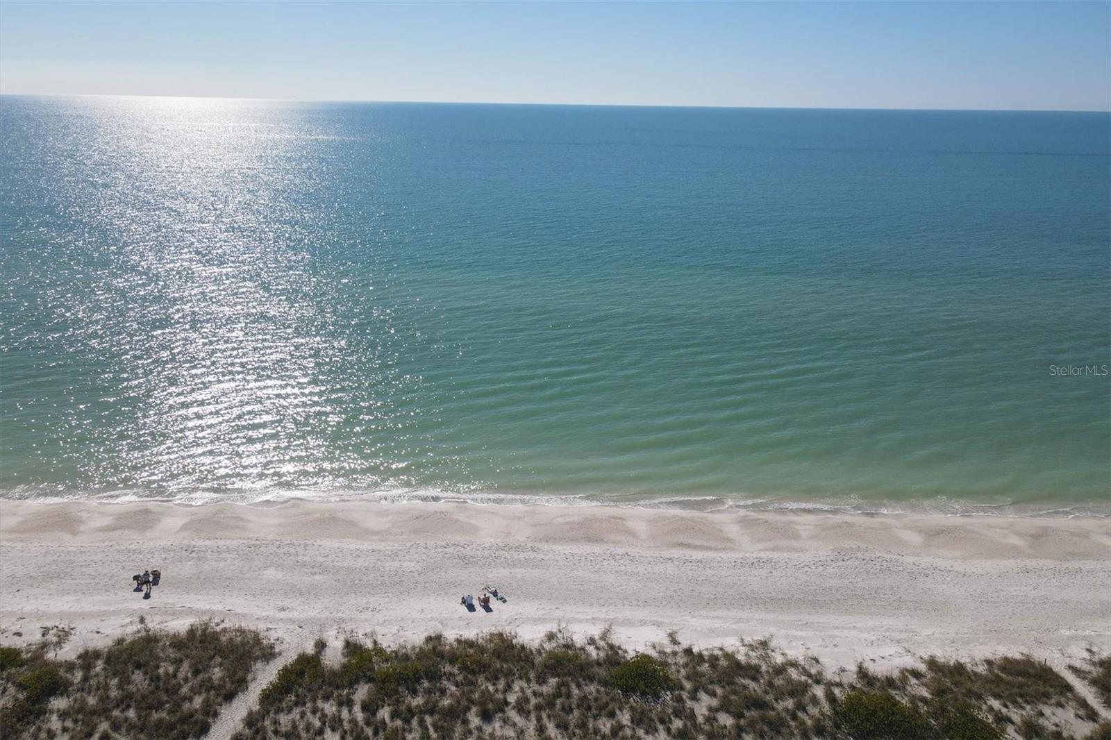 THE SHORE - Residential Lease