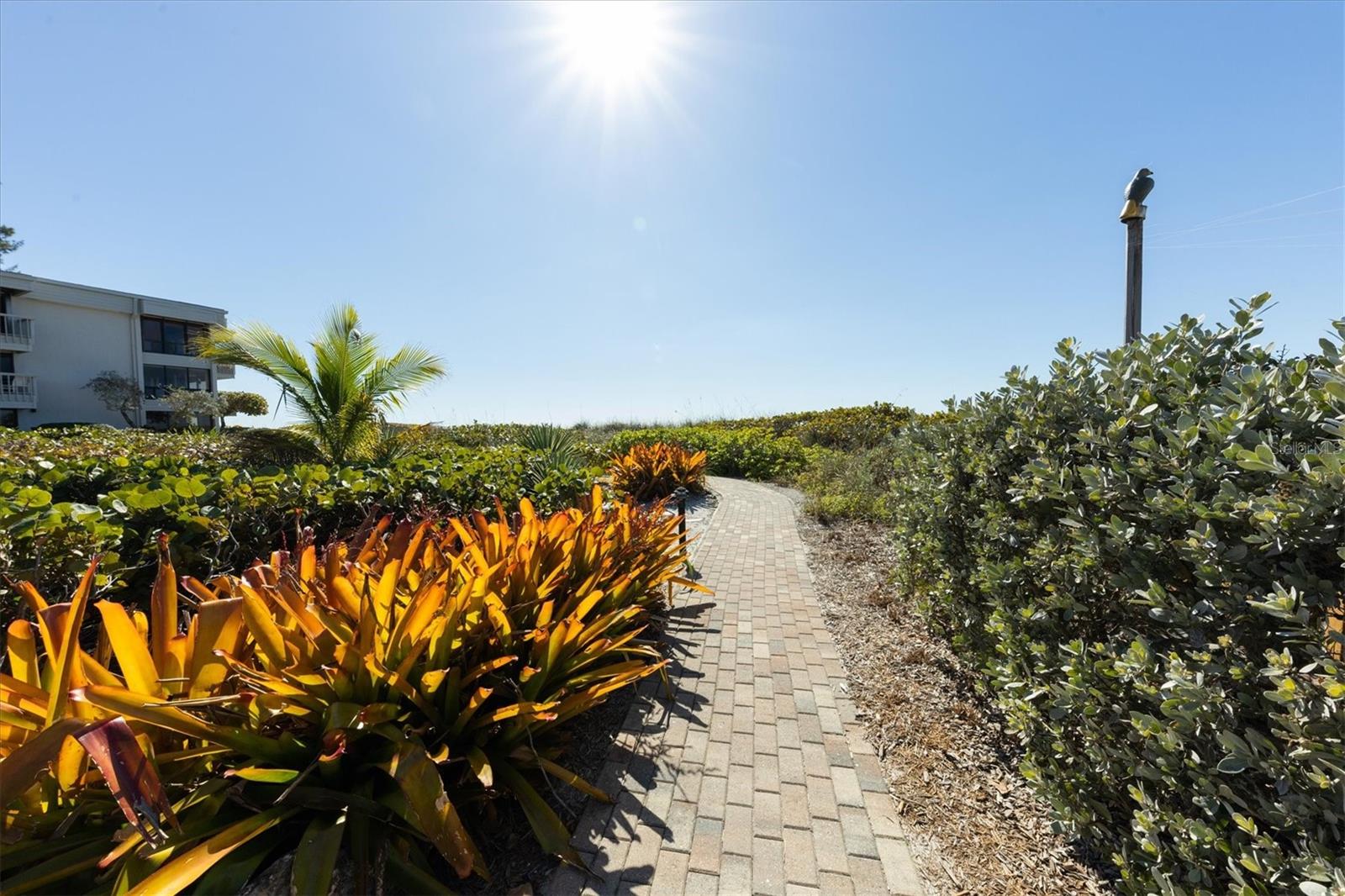 THE SHORE - Residential Lease