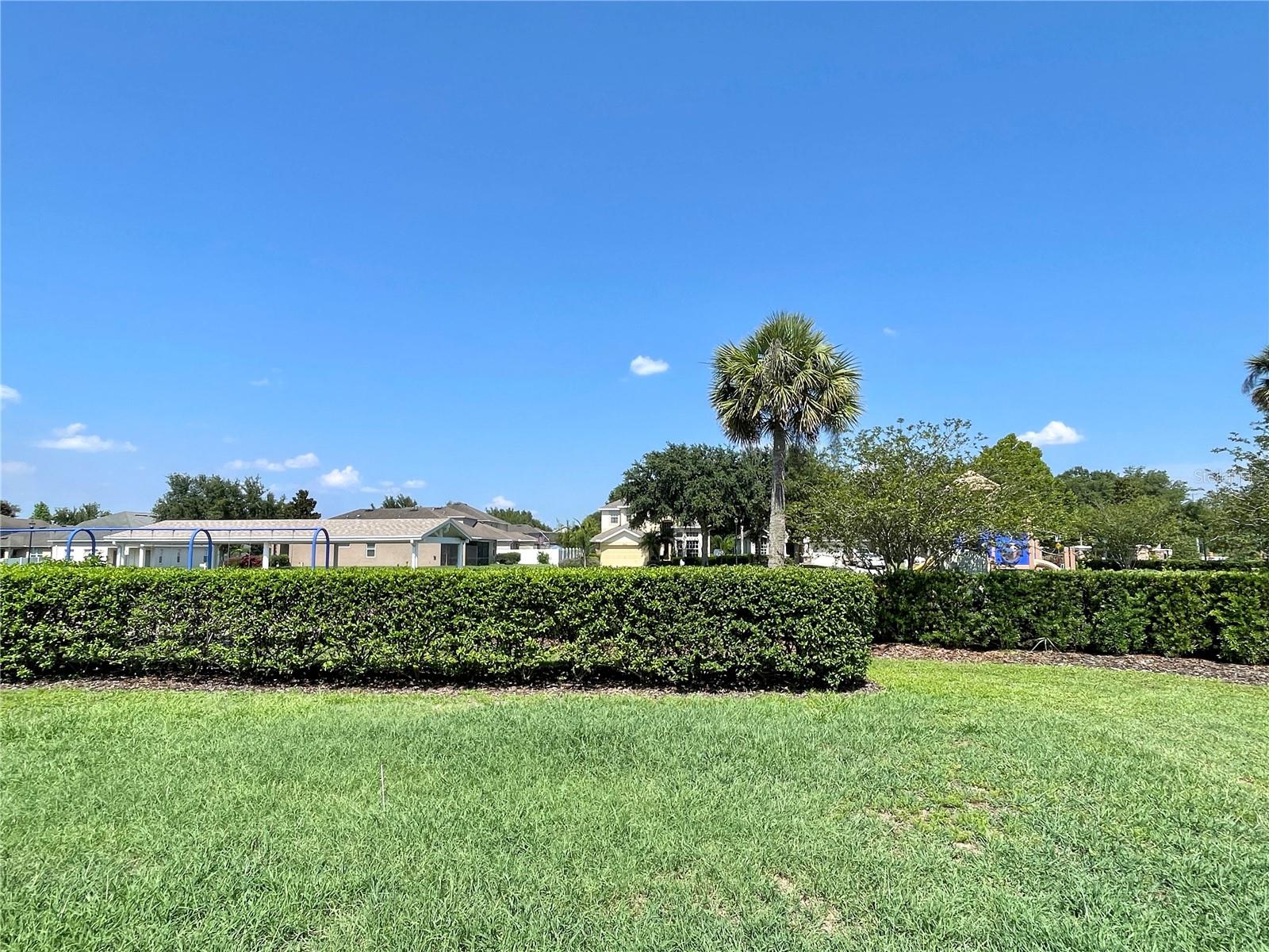 HAMILTON PARK - Residential