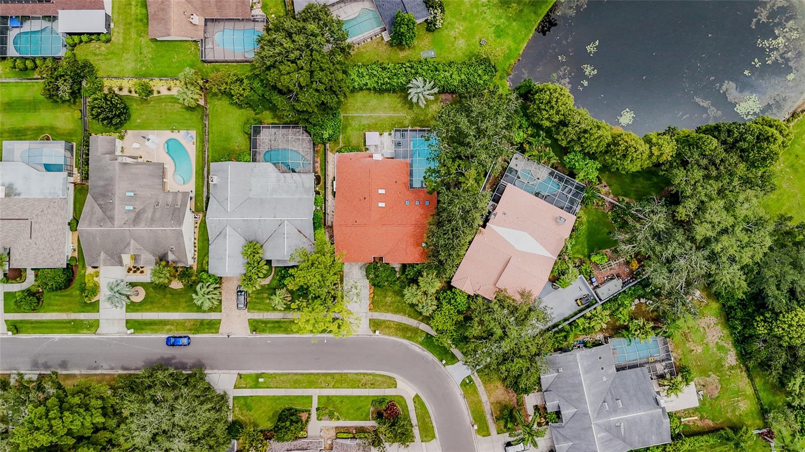 CARROLLWOOD VILLAGE - Residential