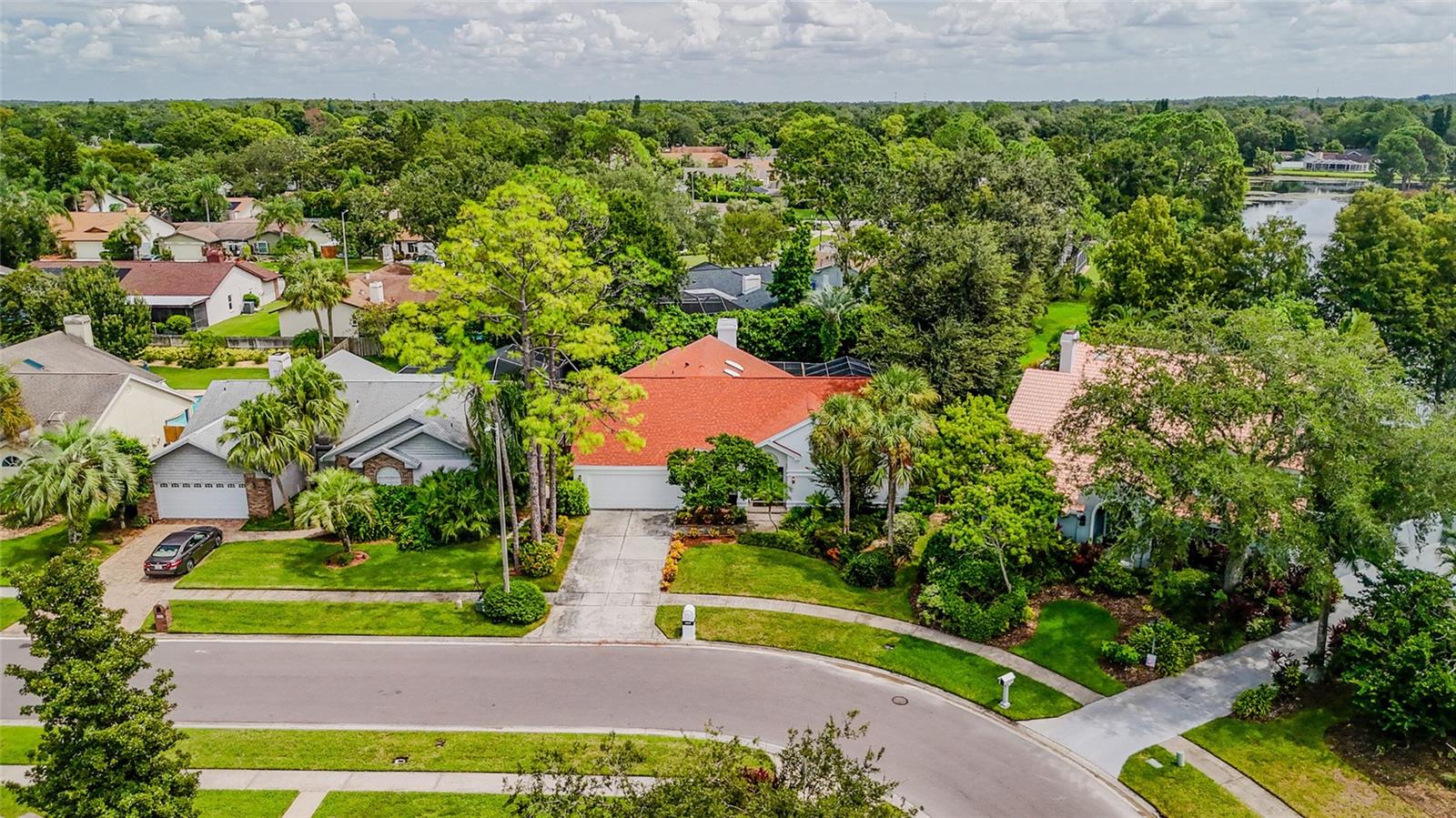CARROLLWOOD VILLAGE - Residential
