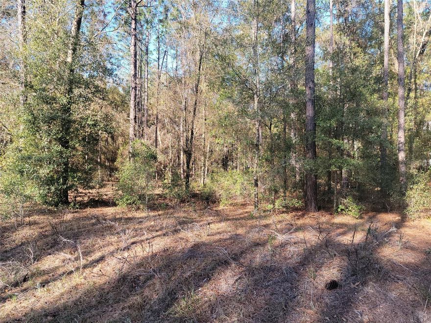 Discover the perfect opportunity to build your dream home or investment property on this beautiful 1.16-acre parcel located in the desirable Rolling Hills community of Dunnellon, FL. Nestled among mature trees, this wooded lot offers privacy and a peaceful setting while still being conveniently close to all the best that Marion County has to give. Electric near by. Just minutes from the crystal-clear waters of Rainbow Springs and a short drive to the World Equestrian Center, shopping, dining, and outdoor recreation. With no HOA and plenty of space for your custom design, this property is ready for your vision—whether that’s a permanent residence, vacation retreat, or future investment. Don’t miss your chance to own land in this growing area of Florida!