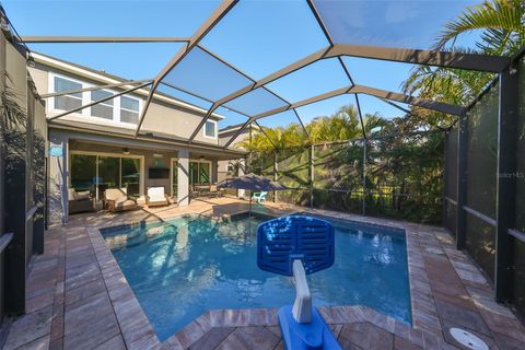 A home in APOLLO BEACH