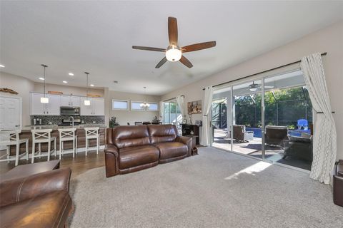 A home in APOLLO BEACH