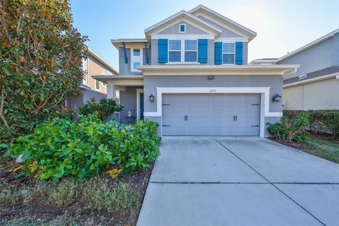 A home in APOLLO BEACH