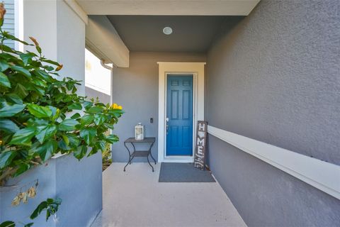 A home in APOLLO BEACH