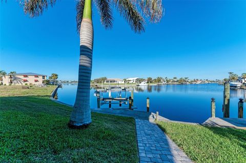 A home in PUNTA GORDA