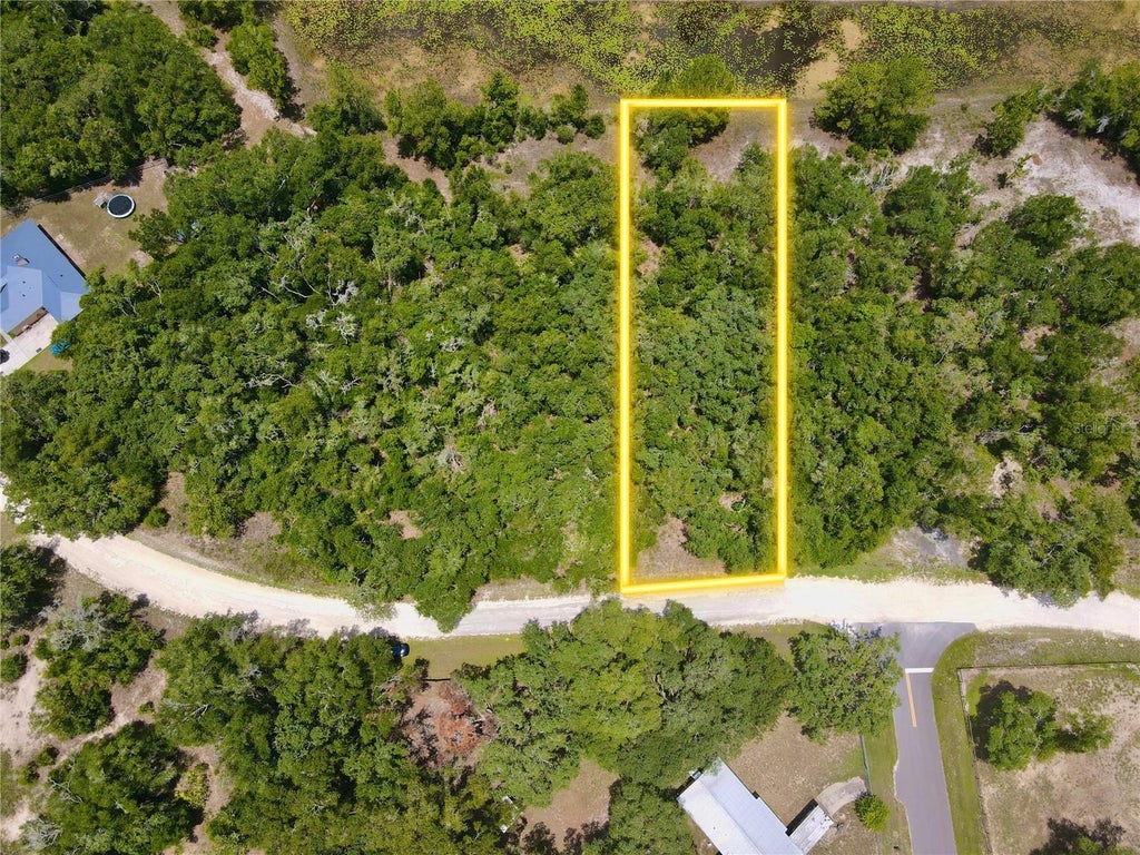 Photo of 34237 Shaffer Drive, Dade City, FL 33523 (MLS # TB8513050)