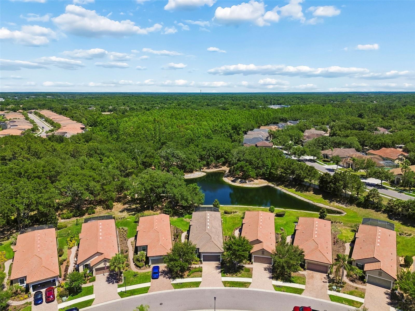 ESPLANADE OF TAMPA PH 1 - Residential