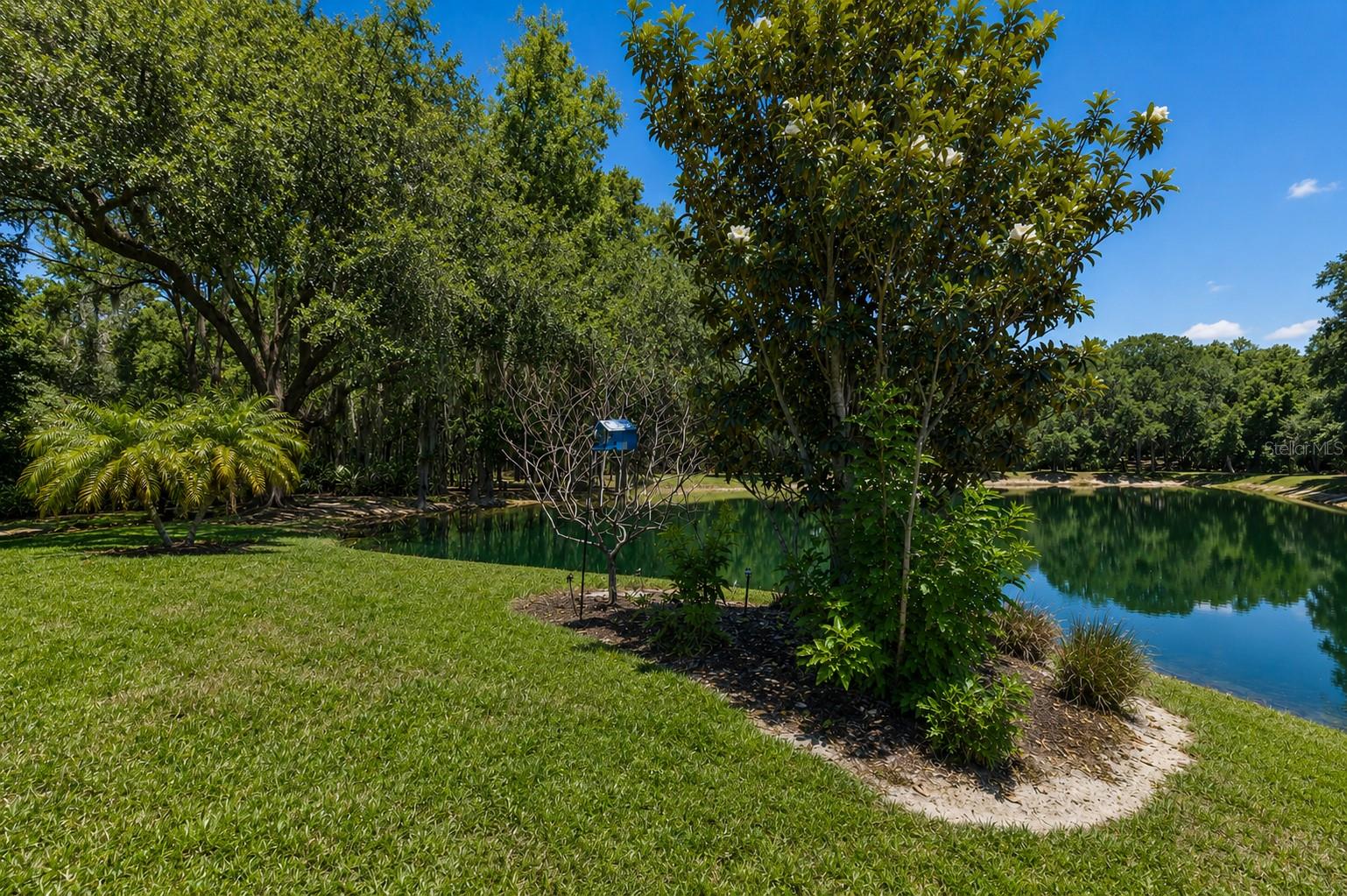 ESPLANADE OF TAMPA PH 1 - Residential