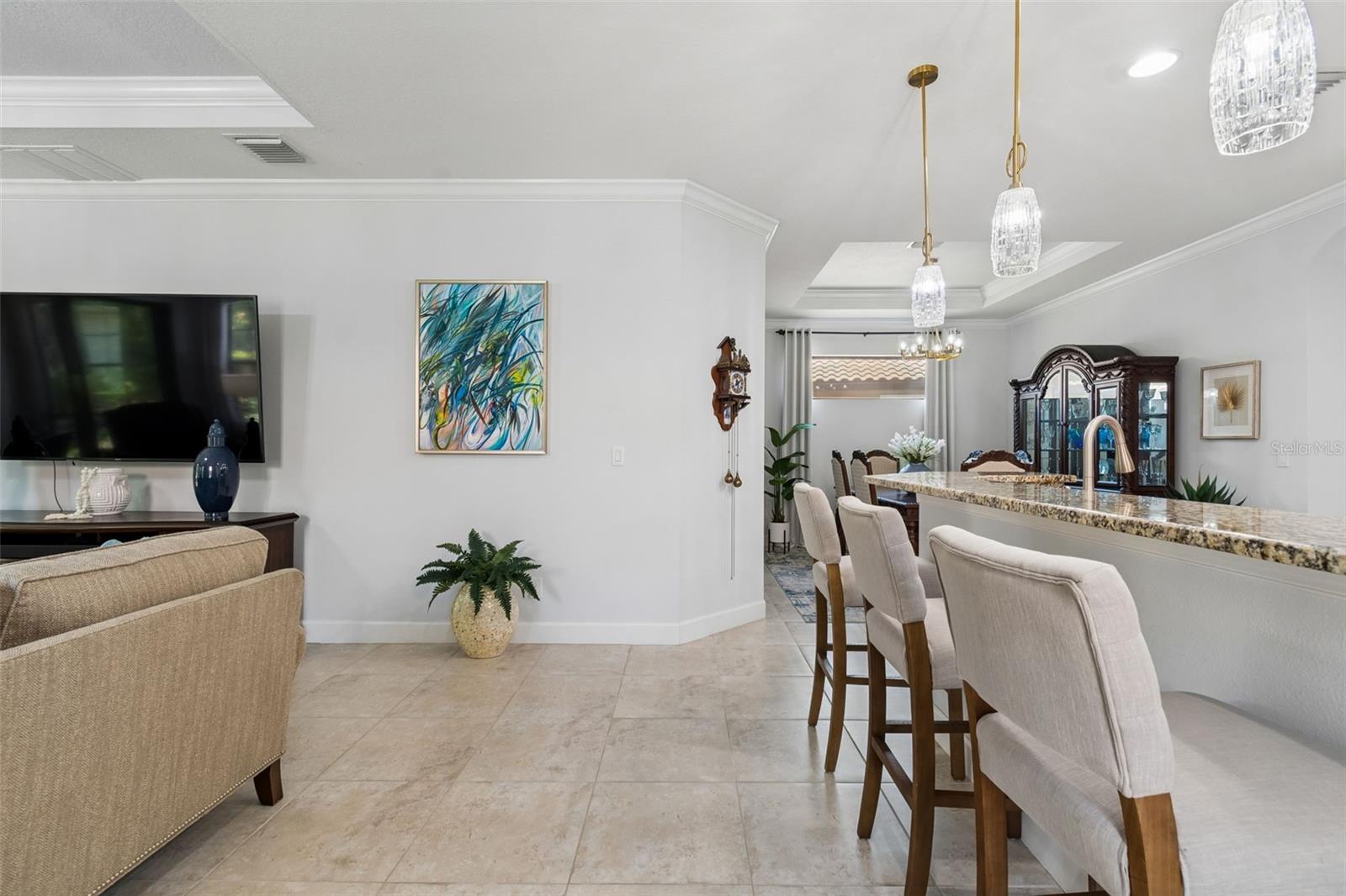 ESPLANADE OF TAMPA PH 1 - Residential