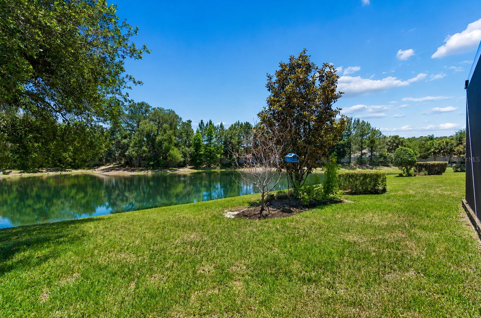 8447 ALBERATA VISTA DRIVE