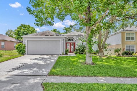 1181 WELCH HILL CIRCLE APOPKA FL 32712